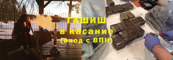 прущие грибы Богородицк